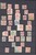 Lot 2443 (18)