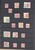 Lot 2443 (21)