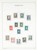 Lot 2543 (19)