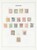 Lot 2544 (3)