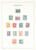 Lot 2525 (14)