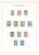 Lot 2525 (20)