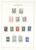 Lot 2525 (22)
