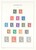 Lot 2525 (23)
