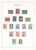 Lot 2525 (28)