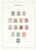 Lot 2525 (52)