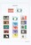 Kavel 2515 (75)