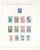 Lot 2516 (19)