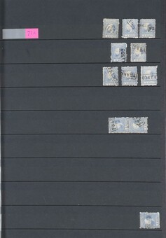 Lot 2559
