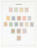 Lot 2507