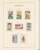 Kavel 2657 (65)