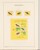 Kavel 2657 (124)