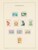 Kavel 2657 (171)