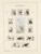 Kavel 2657 (237)