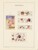 Kavel 2657 (254)