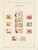 Kavel 2657 (265)