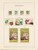 Kavel 2657 (278)