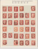 Kavel 1207