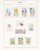 Lot 1110 (102)