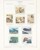 Lot 1110 (148)