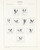 Lot 1110 (215)