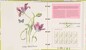Kavel 2746 (4)