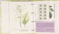 Kavel 2746 (24)