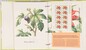 Kavel 2746 (25)