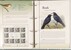 Kavel 2746 (146)