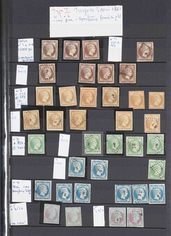 Lot 1234