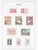 Kavel 1134 (132)