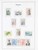 Kavel 1134 (140)