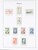Kavel 1136 (81)