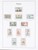 Kavel 1136 (88)