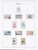 Kavel 1136 (91)