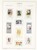 Kavel 1115 (8)