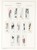 Kavel 1115 (28)