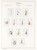 Kavel 1115 (41)
