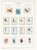 Kavel 1115 (43)