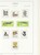 Kavel 1115 (51)