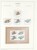 Kavel 1115 (69)