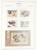 Kavel 1115 (71)