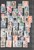 Lot 1031 (7)