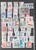 Lot 1031 (14)