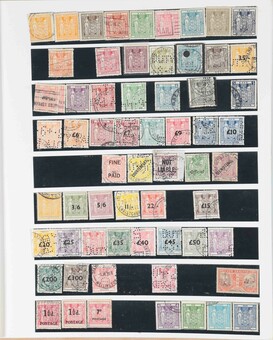 Lot 1004