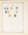 Lot 1004 (82)