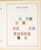 Lot 1004 (137)