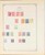 Lot 1004 (218)