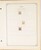 Lot 1004 (219)