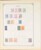 Lot 1004 (247)